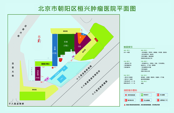 日逼逼黄色视频北京市朝阳区桓兴肿瘤医院平面图